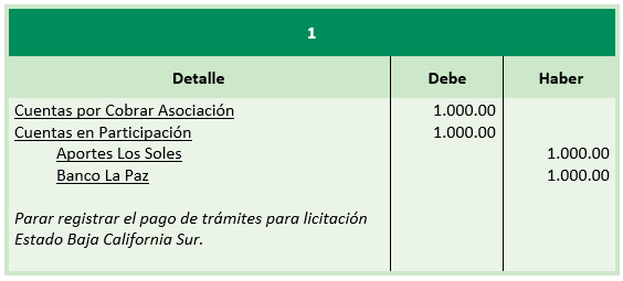 Registros contables - Sociedades Accidentales - Contabilidad de Sociedades - SoloContabilidad.com