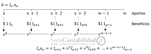 Renta Vitalicia Total, diagrama de tiempo - matemáticas actuariales Renta Vitalicia Total, diagrama de tiempo - matemáticas actuariales