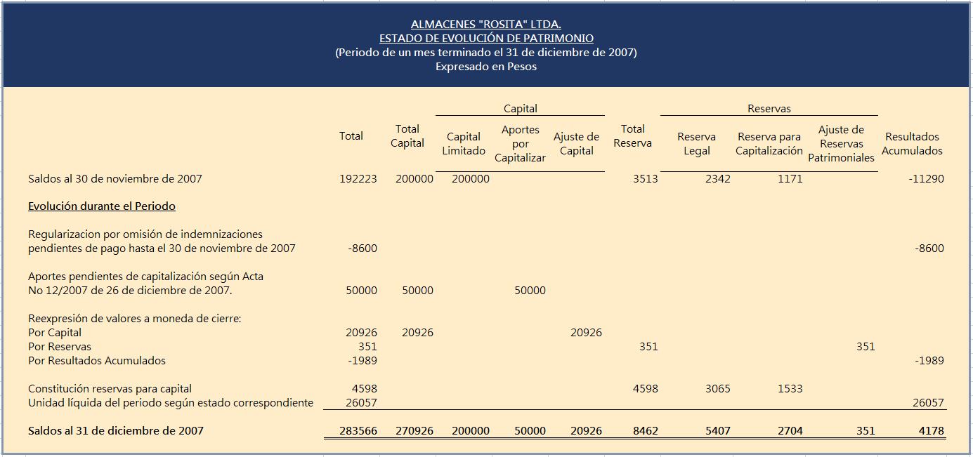 Ejercicio Completo Contabilidad Básica - Estado de Evolución del Patrimonio - Ejercicio Completo - Estados Financieros a Moneda Constante y Tratamiento Contable de las Diferencias de Cambio y Mantenimiento de Valor - Solocontabilidad.com