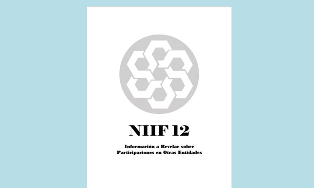 NIIF 12 - Información a Revelar sobre Participaciones en Otras Entidades (en PDF) - Solocontabilidad.com